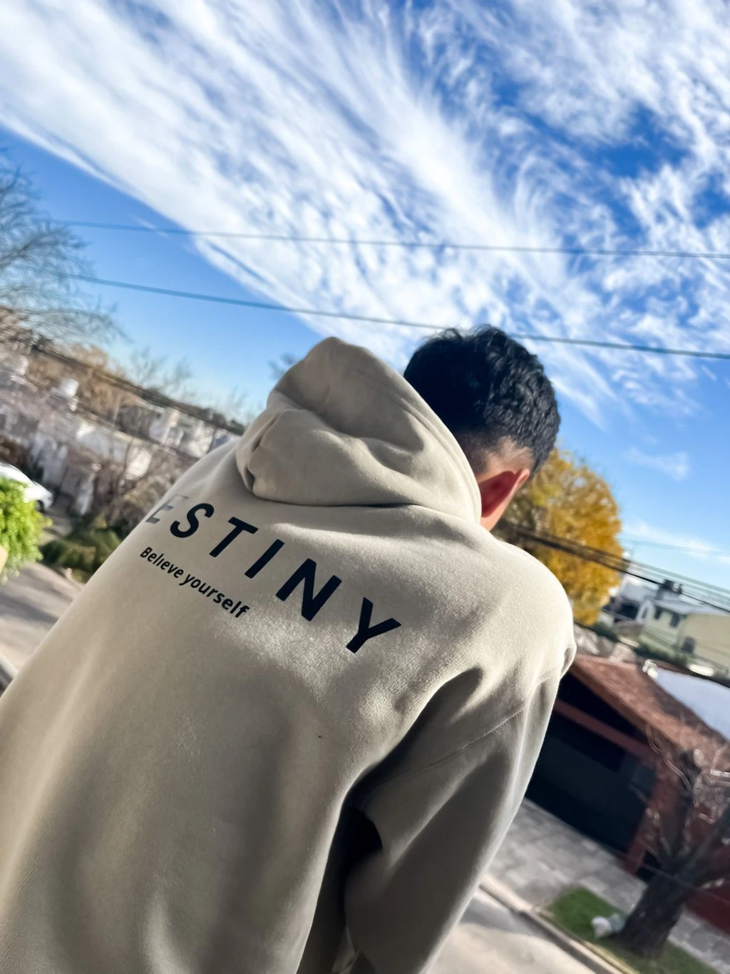 Buzo Canguro Hoodie Destiny (Calidad Premium-Unisex)