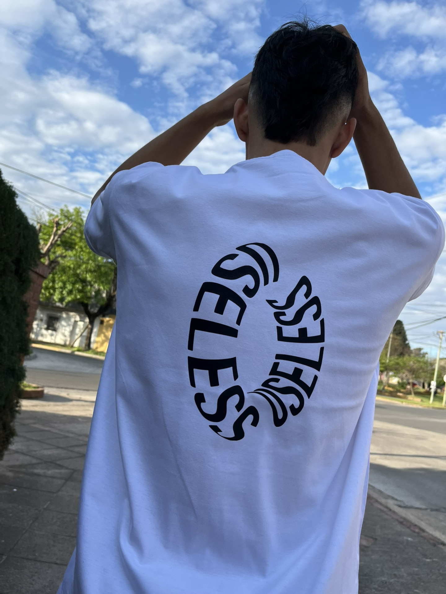 Remera Useless (ALG-H)